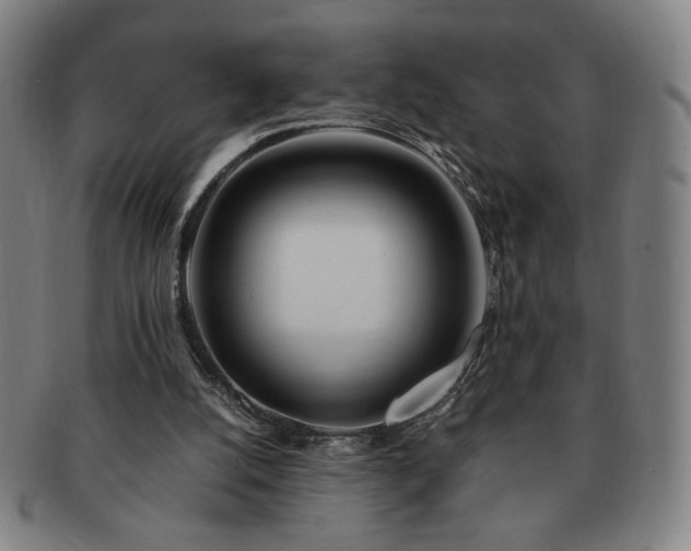 X0000091450056200708231304