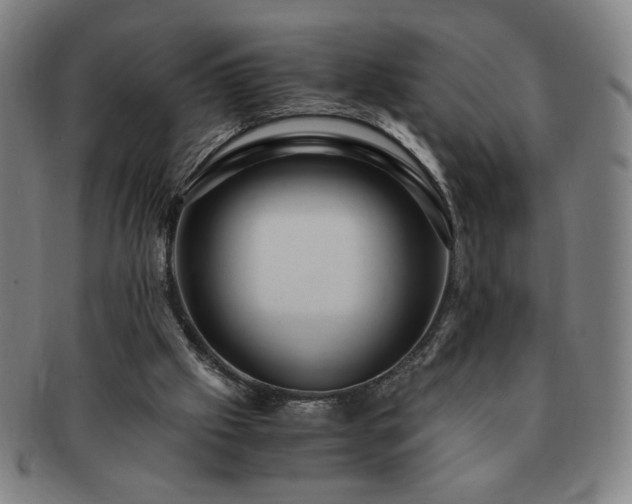 X0000091450057200708231304