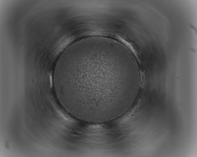 X0000091450061200708231304