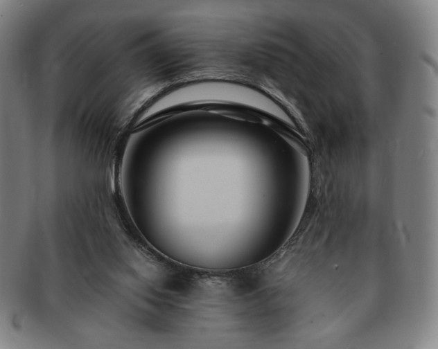 X0000091450062200708231304