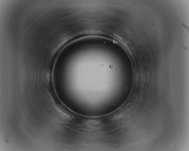 X0000091450063200708231304