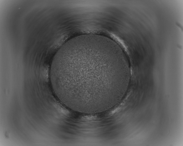 X0000091450065200708231304