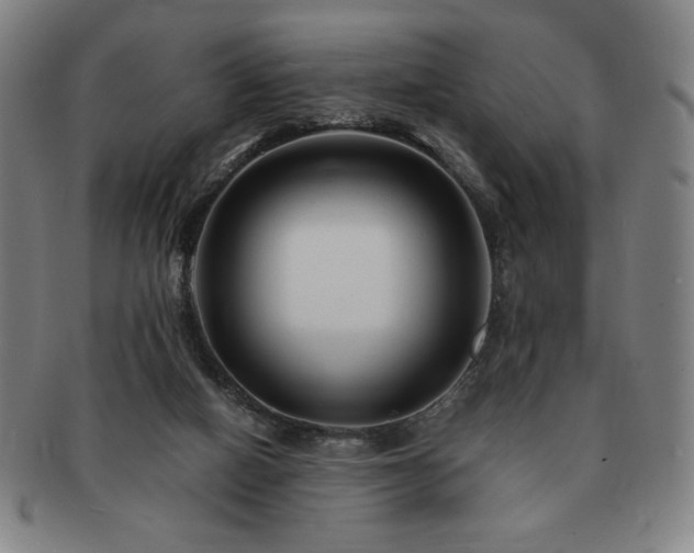 X0000091450066200708231304