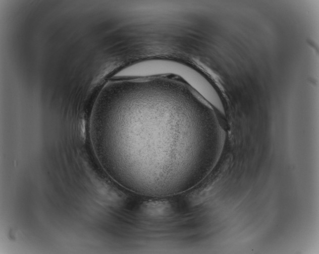 X0000091450067200708231304