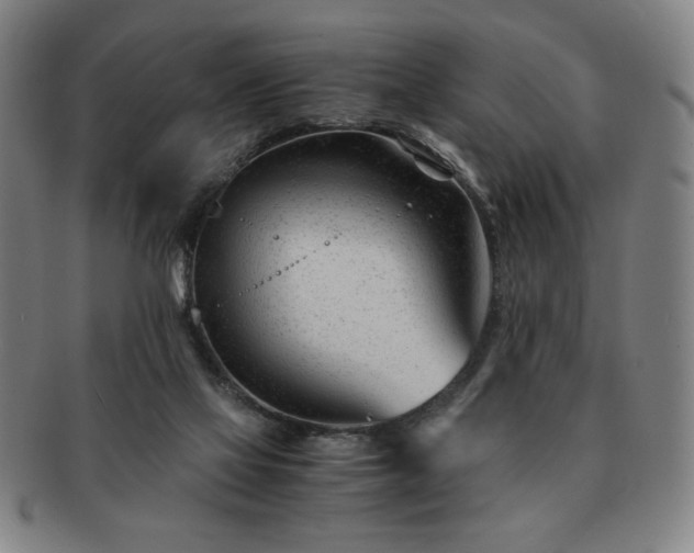 X0000091450069200708231304