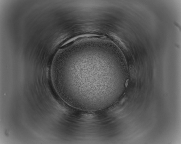 X0000091450071200708231304