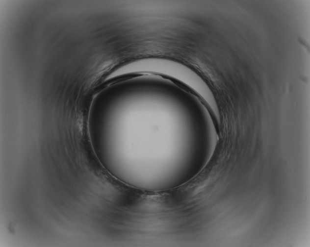 X0000091450072200708231304