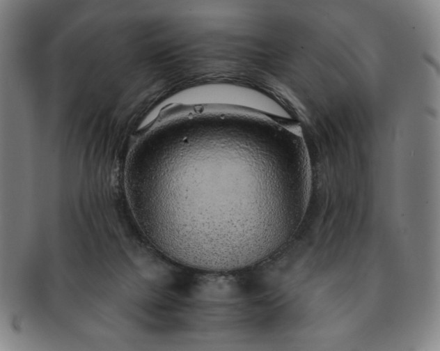X0000091450073200708231304