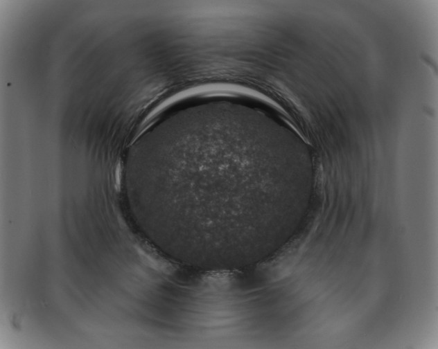 X0000091450076200708231304