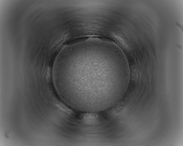X0000091450077200708231304