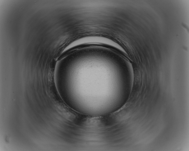 X0000091450078200708231304