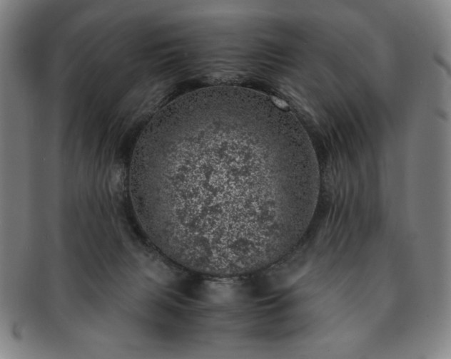 X0000091450079200708231304