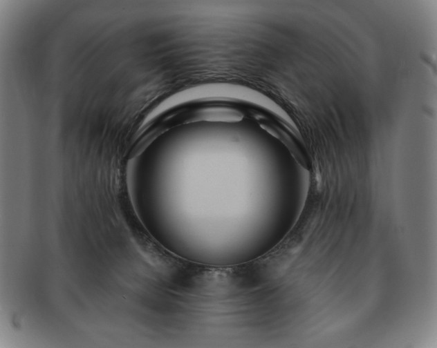 X0000091450080200708231304