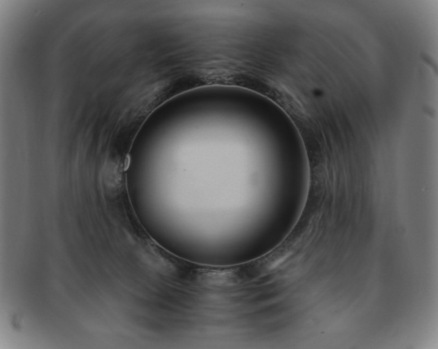 X0000091450081200708231304