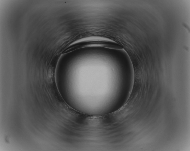 X0000091450082200708231304