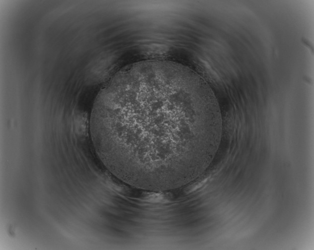 X0000091450083200708231304
