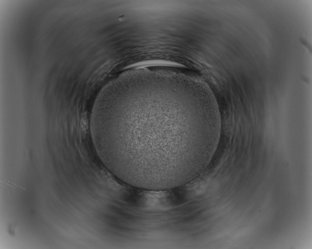 X0000091450085200708231304