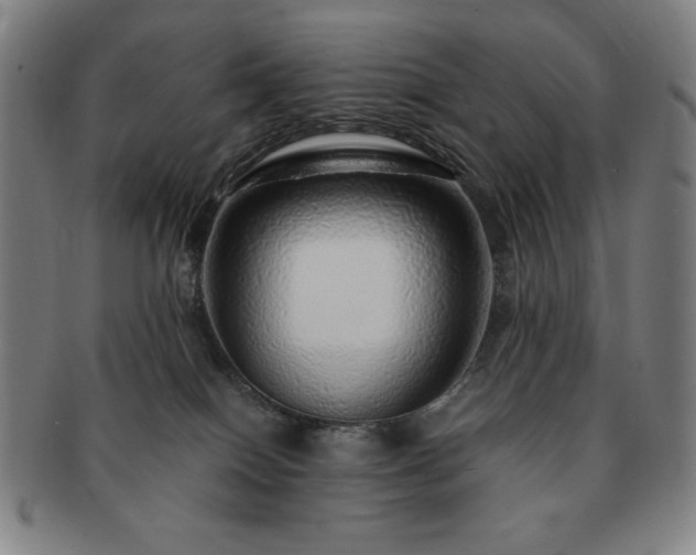 X0000091450086200708231304