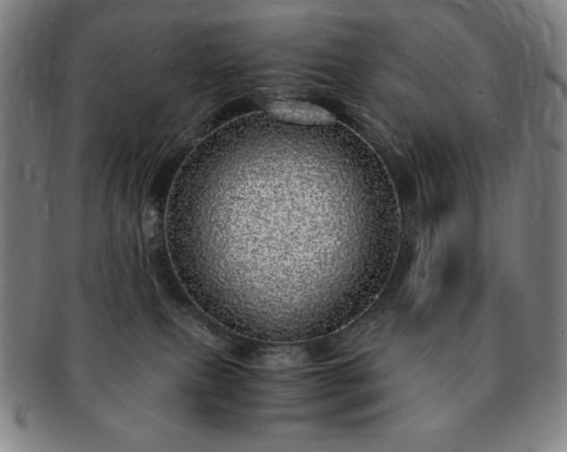 X0000091450087200708231304
