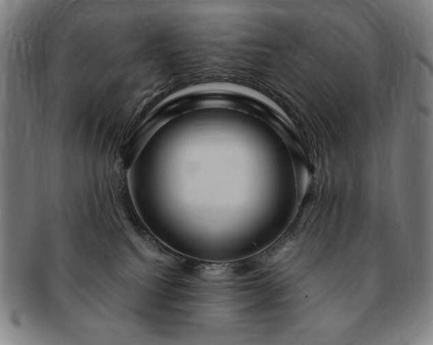 X0000091450088200708231304