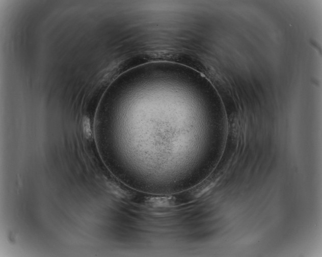 X0000091450089200708231304