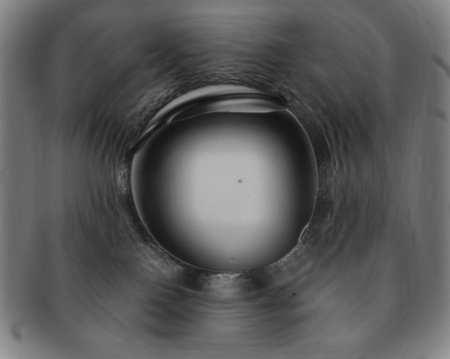 X0000091450090200708231304