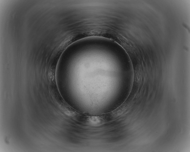 X0000091450091200708231304