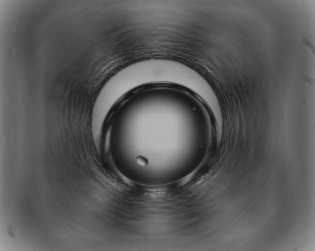 X0000091450092200708231304