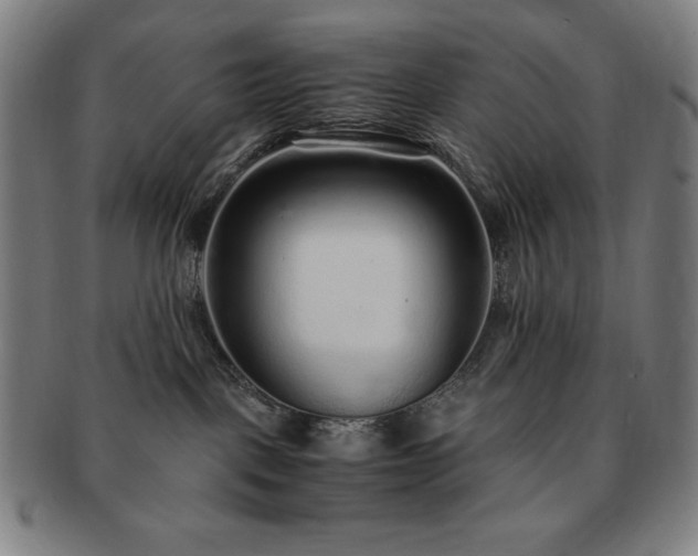X0000091450093200708231304
