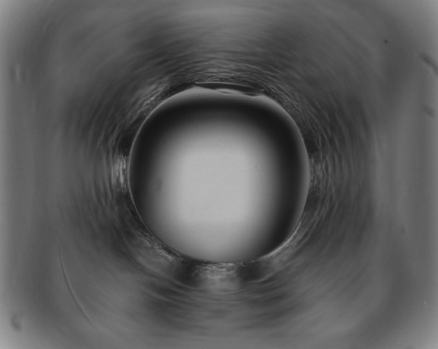 X0000091450094200708231304