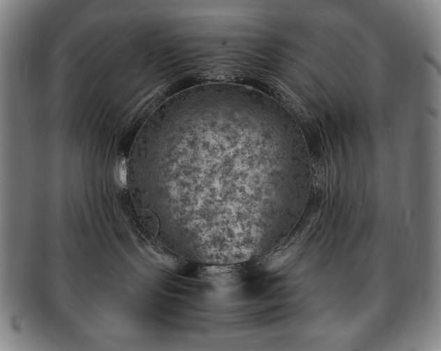 X0000091450095200708231304