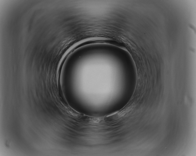 X0000091450096200708231304