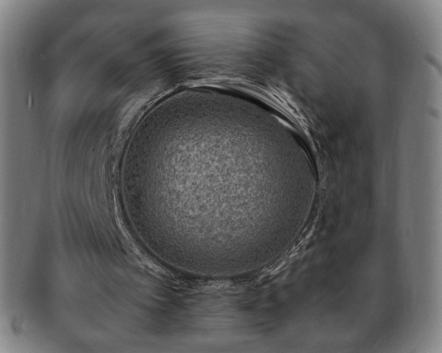 X0000091450097200708231304
