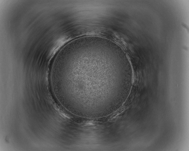 X0000091450098200708231304