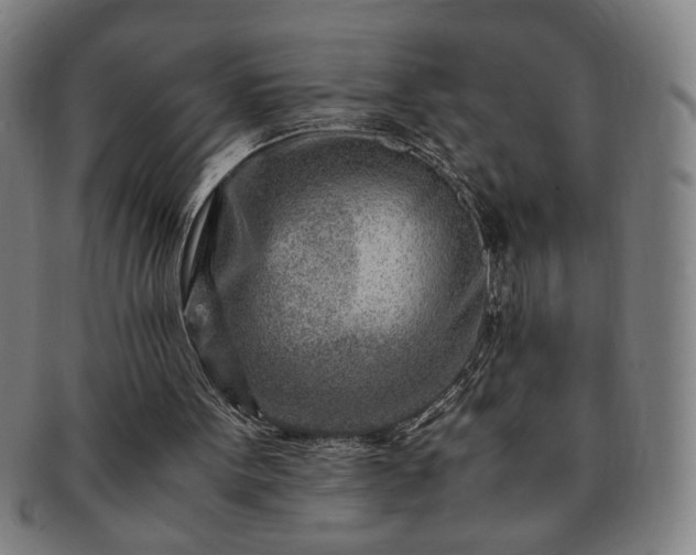 X0000091450099200708231304