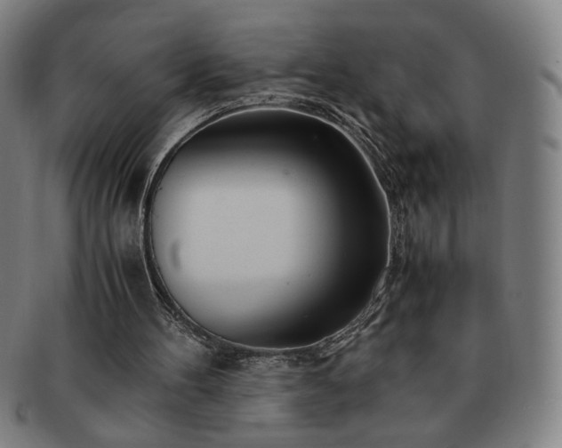 X0000091450100200708231304