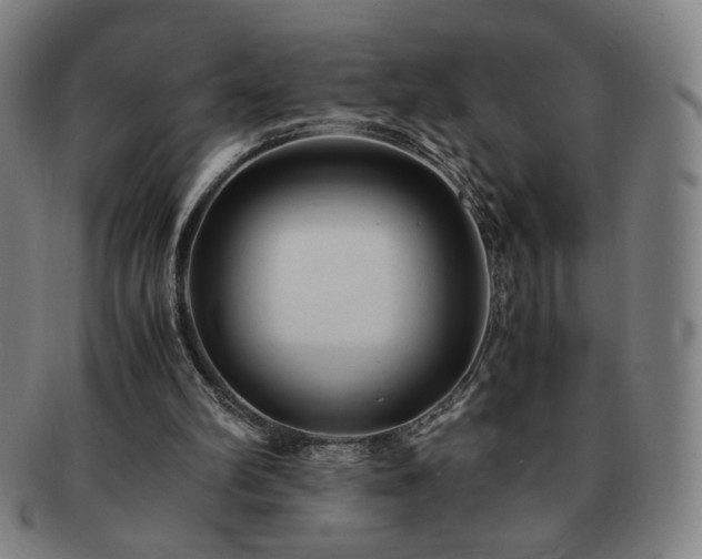 X0000091450102200708231304