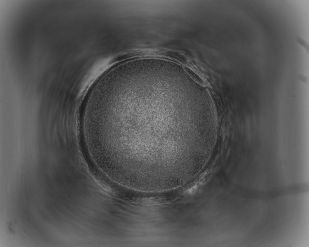 X0000091450103200708231304