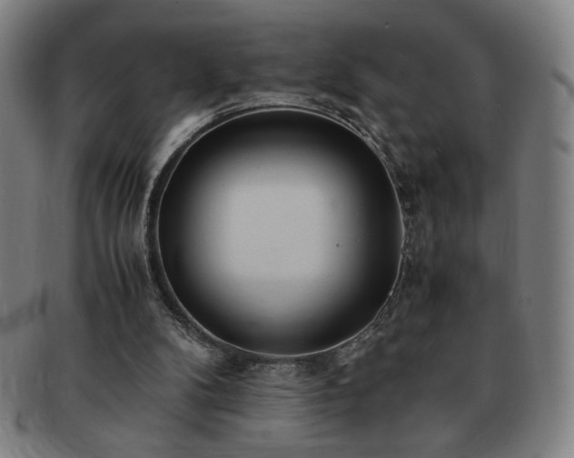 X0000091450104200708231304
