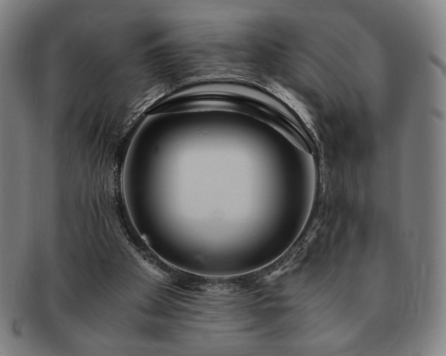 X0000091450105200708231304