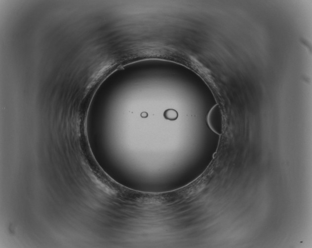 X0000091450106200708231304