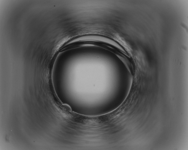 X0000091450107200708231304