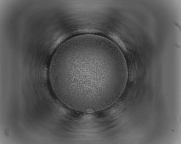 X0000091450111200708231304