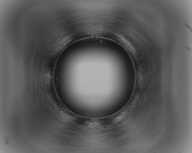 X0000091450113200708231304