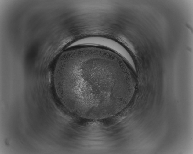 X0000091450115200708231303