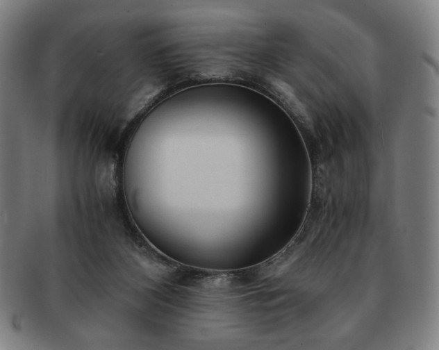 X0000091450116200708231303