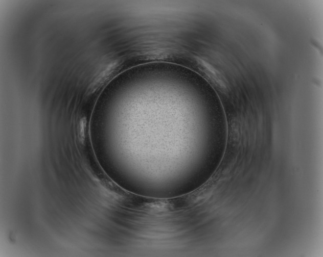 X0000091450118200708231303