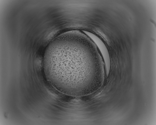 X0000091450119200708231303