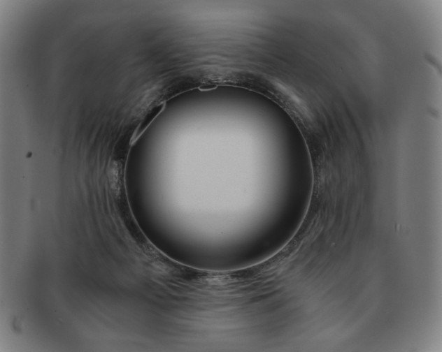X0000091450121200708231303