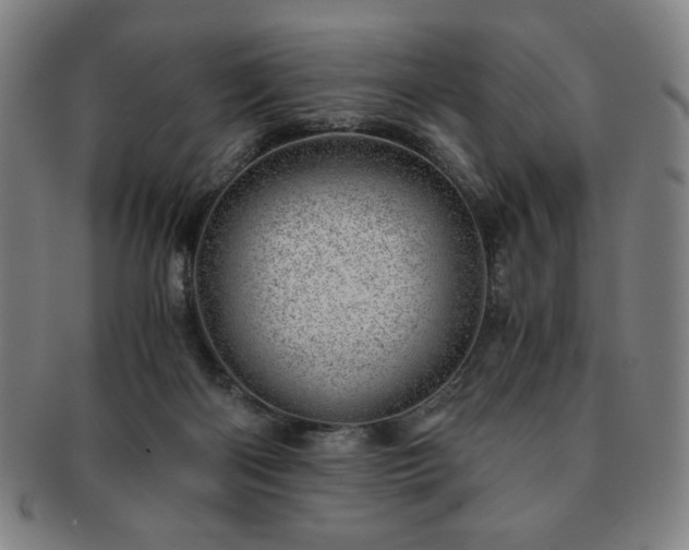 X0000091450122200708231303